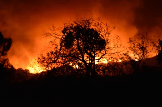 В Крыму первые эвакуированные граждане уже доставлены в ПВР после пожара на полигоне