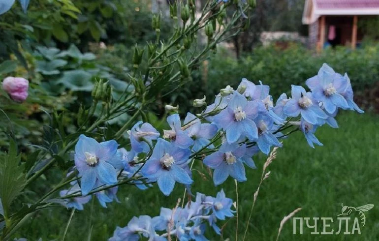 Гидрометцентр рассказал, на сколько в Челябинской области задержатся грозы и до +26 градусов