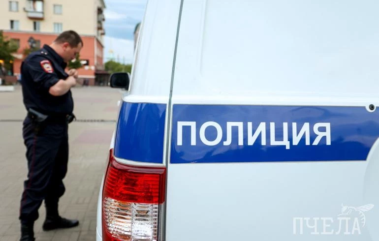 В Челябинске на хозяина питбулей, загрызших на прогулке собаку, завели дело