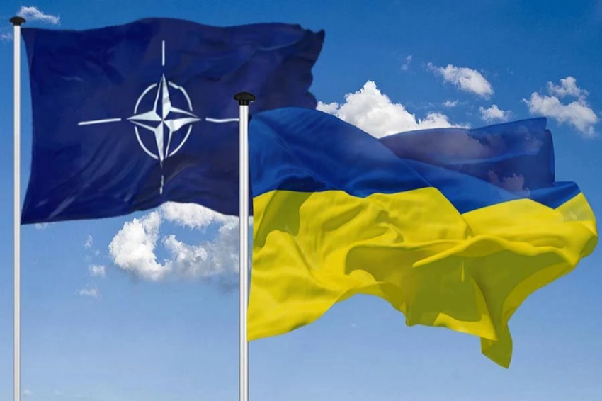 WP: США обсуждали отзыв приглашения Украины в НАТО из-за твита Зеленского 