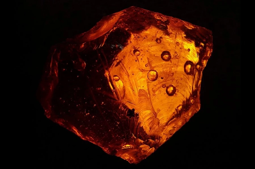 Ученые объяснили, почему в породах мелового периода так много янтаря