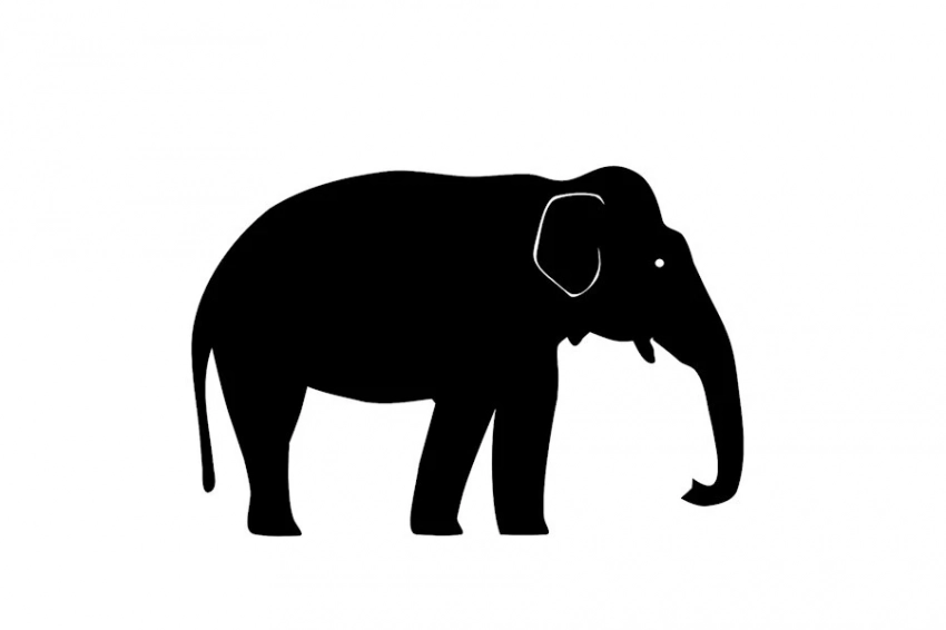 «И не осталось никого»: новый частник уволил всех старых сотрудников Evernote и сделал ставку на ИИ