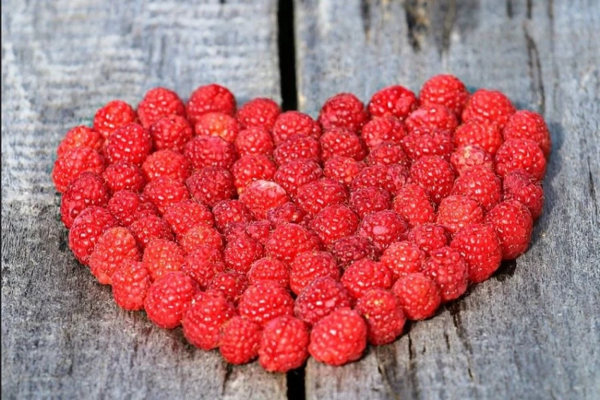 Специалисты рассказали о полезных свойствах малины для сердца и мозга