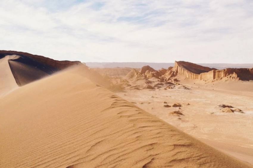 Студенты изучают факторы опустынивания в регионе