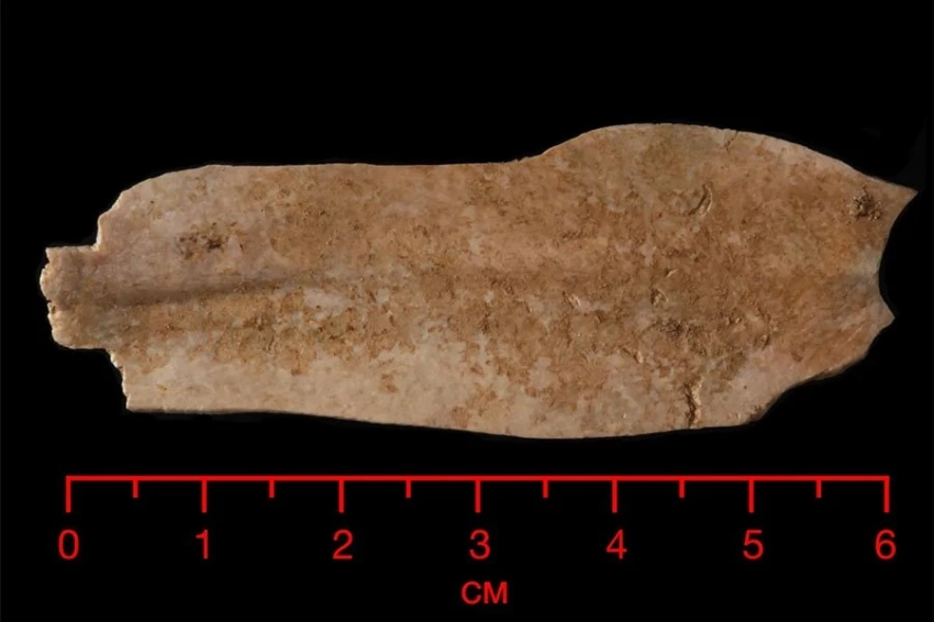 Реликвии возрастом 18 000 лет найдены в Северной Америке