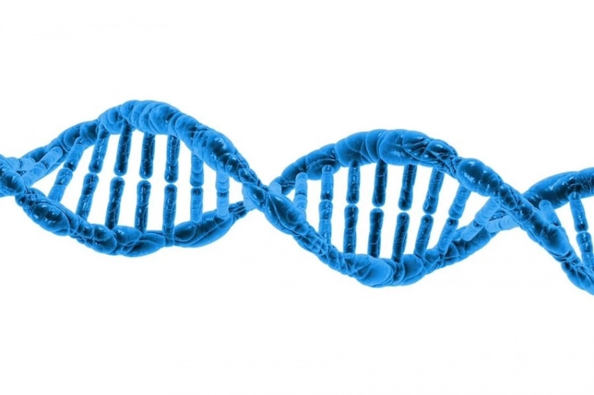 Исследование: Найдены 32 новых, потенциальных, биомаркера болезни Альцгеймера