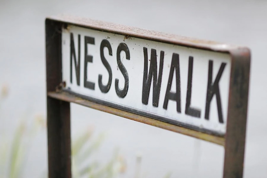 Ученые заявили, что Лох-Несское чудовище все же не может являться угрем