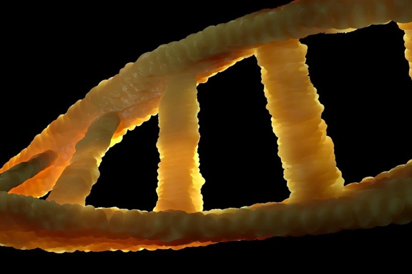 ДНК может хранить до 215 миллионов гигабайт информации