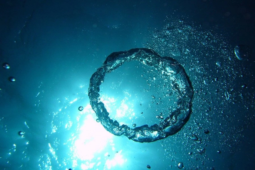 Geobiology: кислород не был катализатором появления многоклеточных организмов в океанах Земли