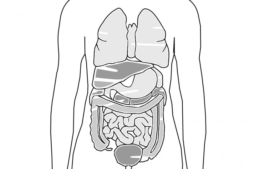 В России создано уникальное питание для людей, перенесших операцию на ЖКТ