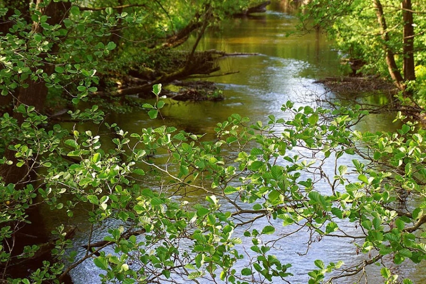 Исследование показало, что горнодобывающий бум 21 века в тропиках приводит к деградации рек