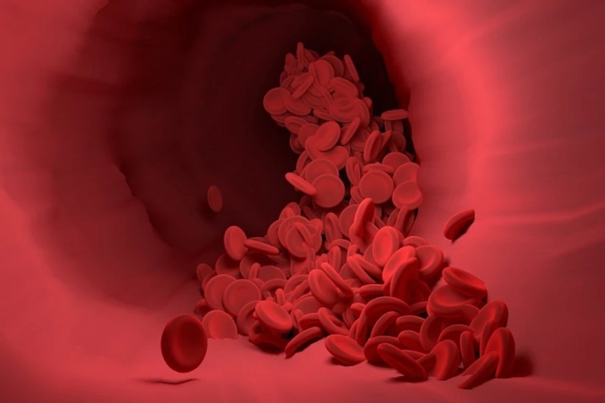 NUS: частицы, содержащиеся в красных кровяных клетках, могут смягчить атеросклероз