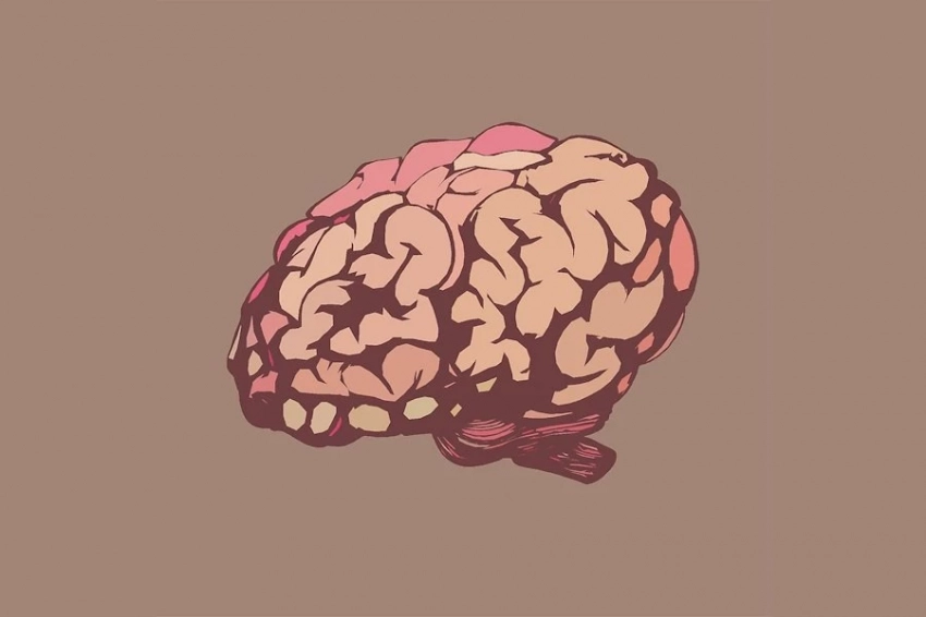 Science Advances: учёные нашли молекулы, отвечающие за мотивацию и скорость обучения