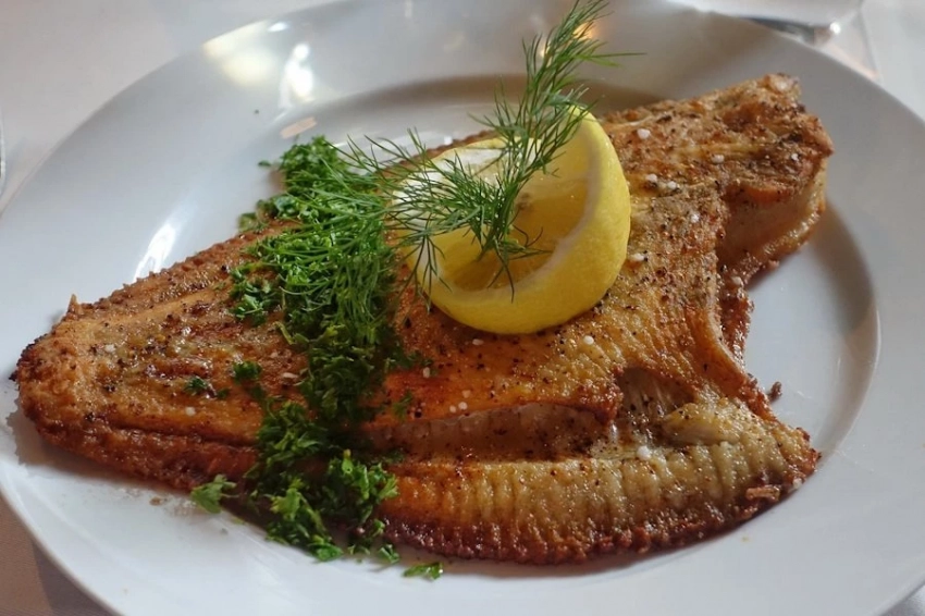 Genotek проверил реализуемое в РФ экзотическое мясо по ДНК на фальсификацию