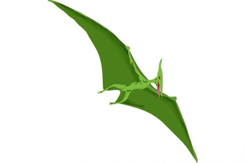 Science: в Бразилии нашли останки древний рептилии с лапами-«ножницами»