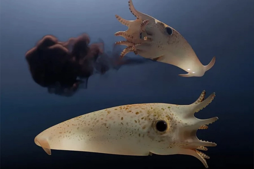 «Убегающий вампир» обитал в юрских океанах со светящимися в темноте органами