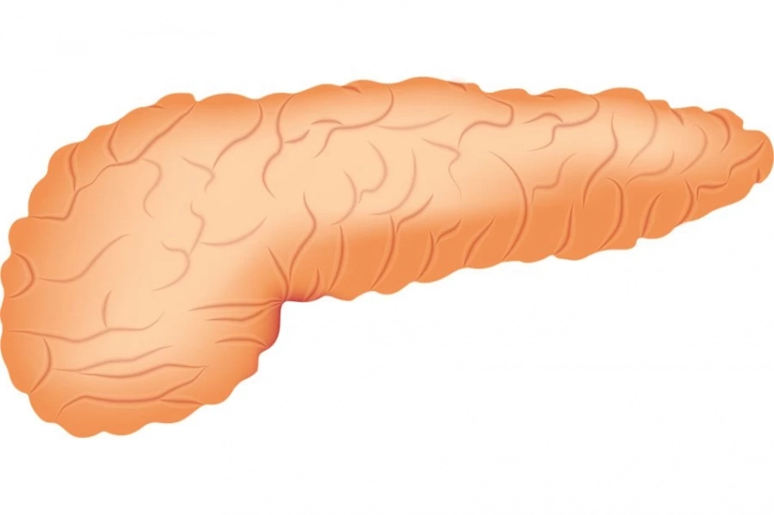 PLoS One: сигнал о раке поджелудочной железы проявляется за два года до недуга