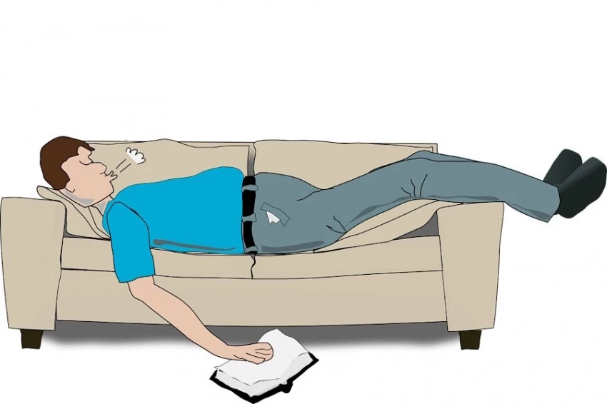 EHB: финские ученые выяснили, что у «сов» меньше зарплата