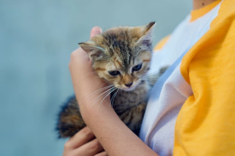 Как быть, когда ситуация кажется безвыходной