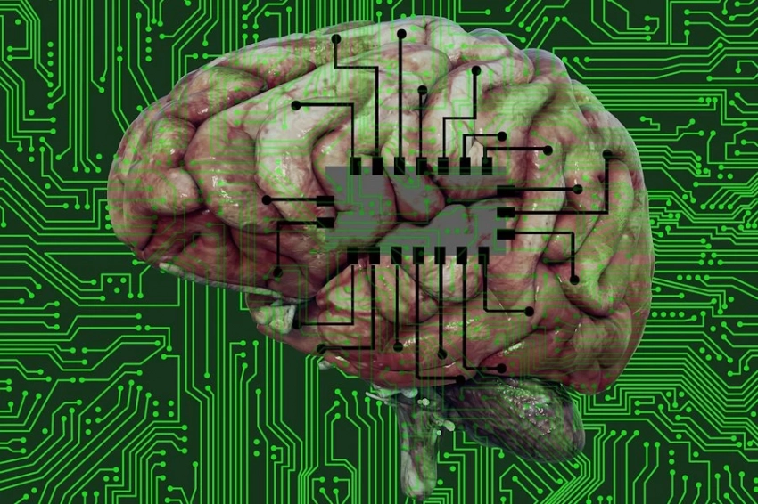 Neuralink набирает добровольцев для испытания мозгового имплантата на людях с параличом