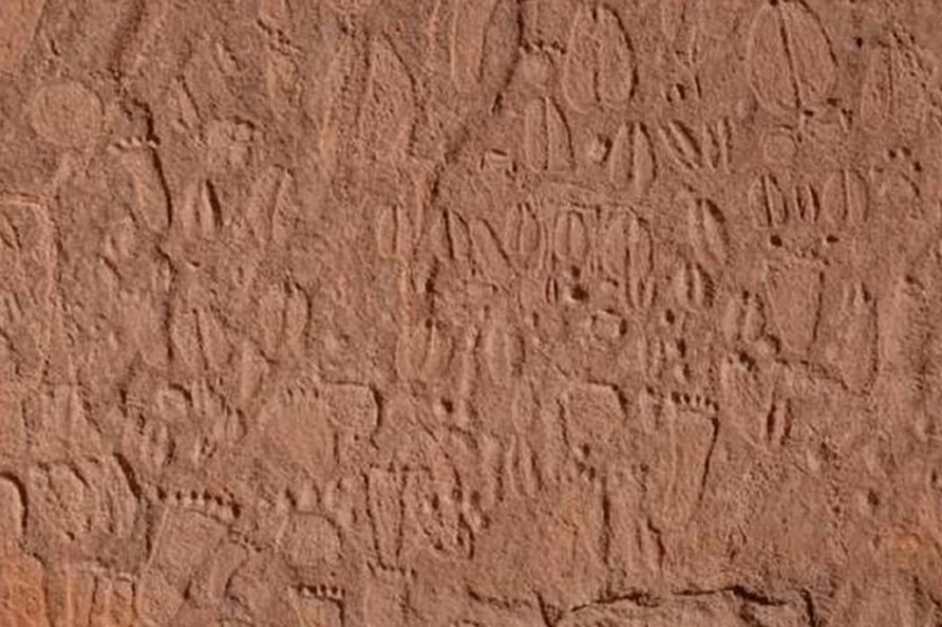 В Намибии обнаружены сотни доисторических наскальных следов животных и людей