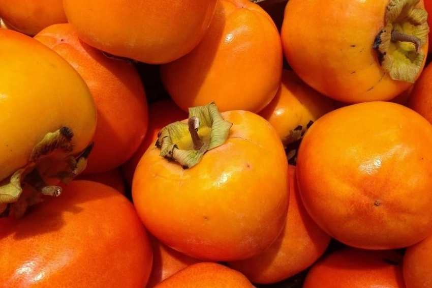 Эксперты советуют осенью и зимой чаще есть хурму и цитрусовые