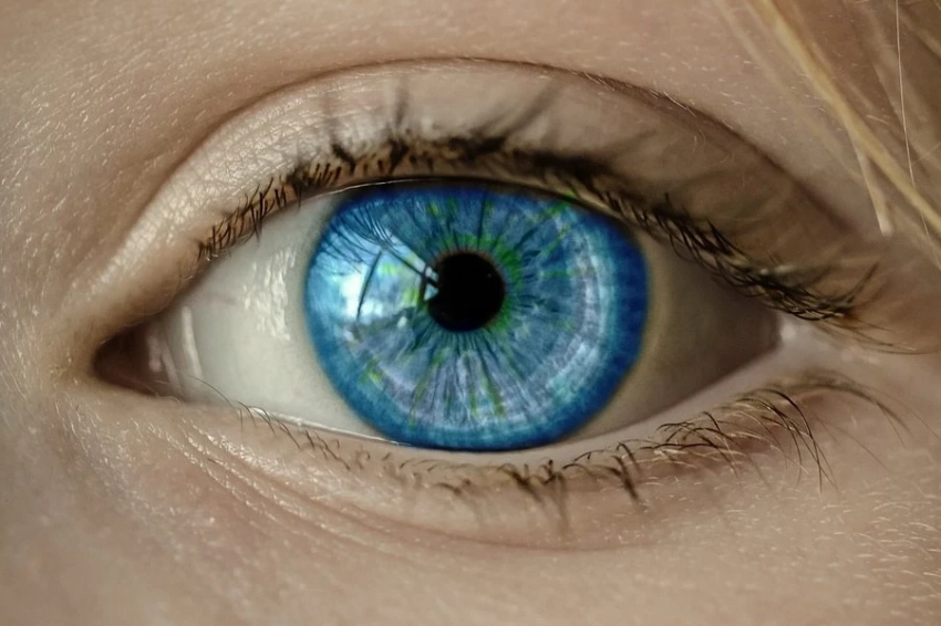 Nature: учёными создан искусственный интеллект, прогнозирующий болезни глаз и инфаркт