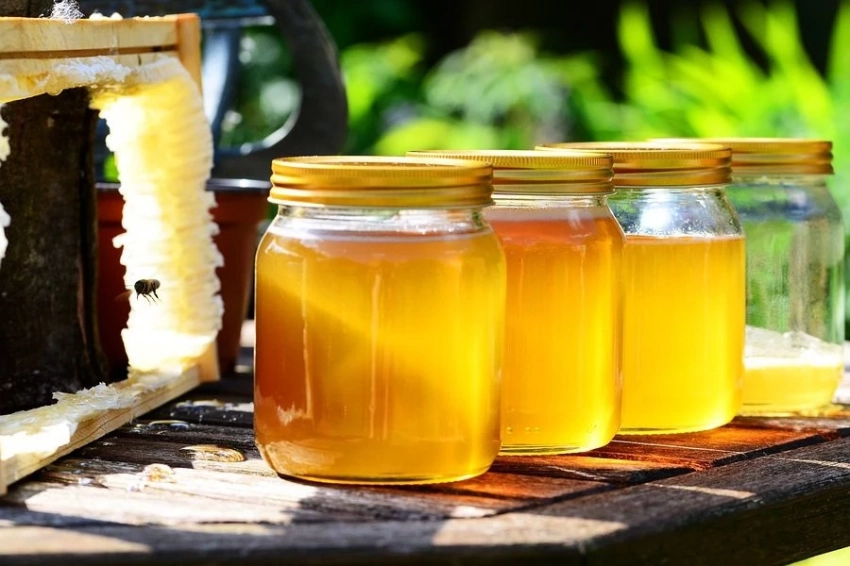 WCG: учёные утверждают, что мед может стать новым спасением для страдающих от бессонницы