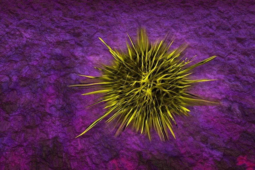 Новые материалы с микрошипами помогут уничтожить устойчивые к лекарствам супербактерии