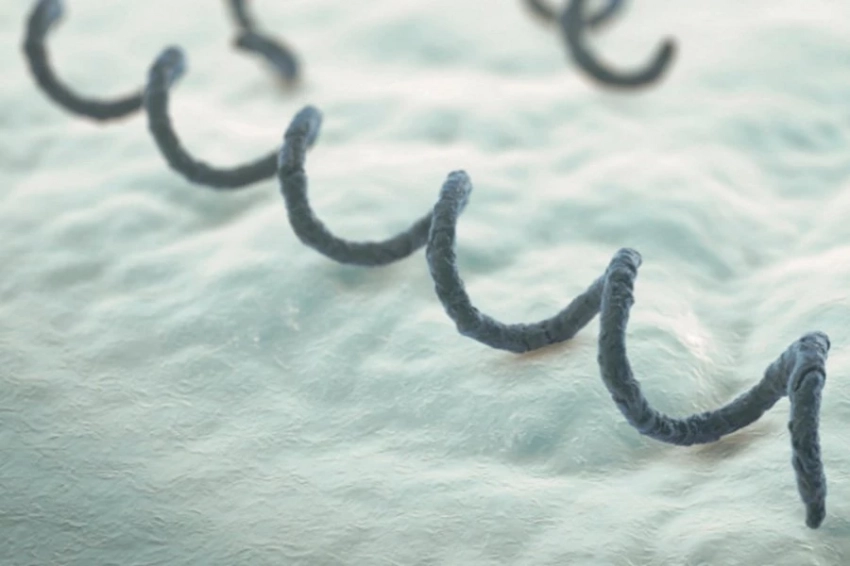 Исследователи представили новую версию происхождения сифилиса в Европе