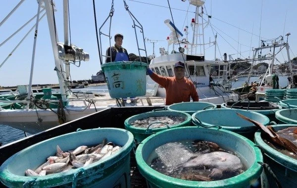 Япония призывает Россию отказаться от запрета импорта рыбы и морепродуктов 