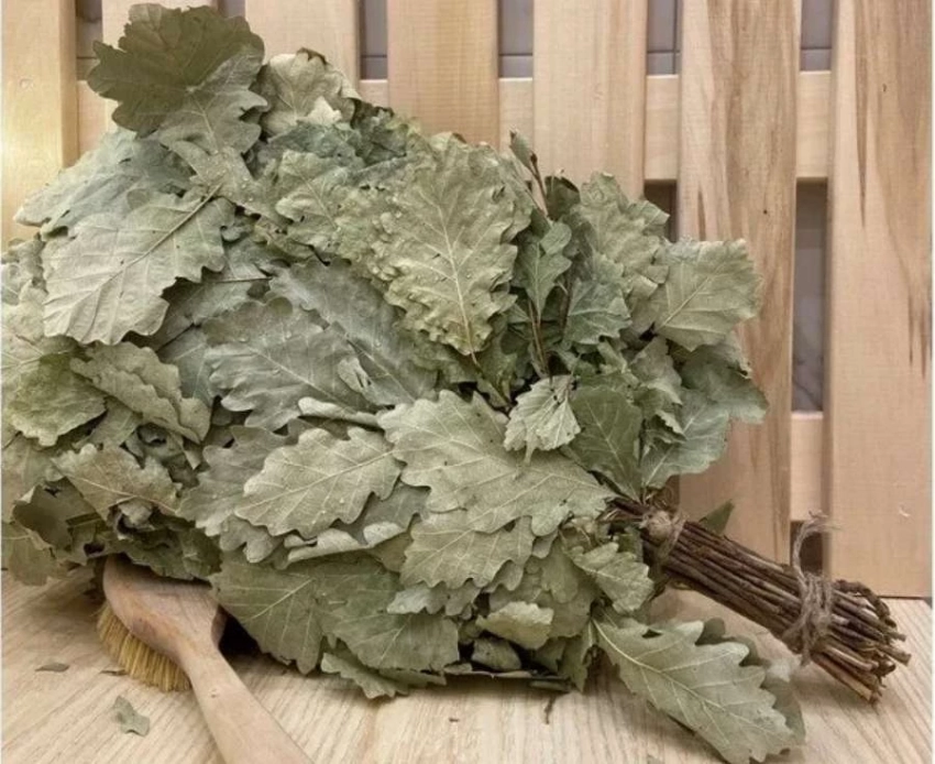 Топ дубовых веников для бани