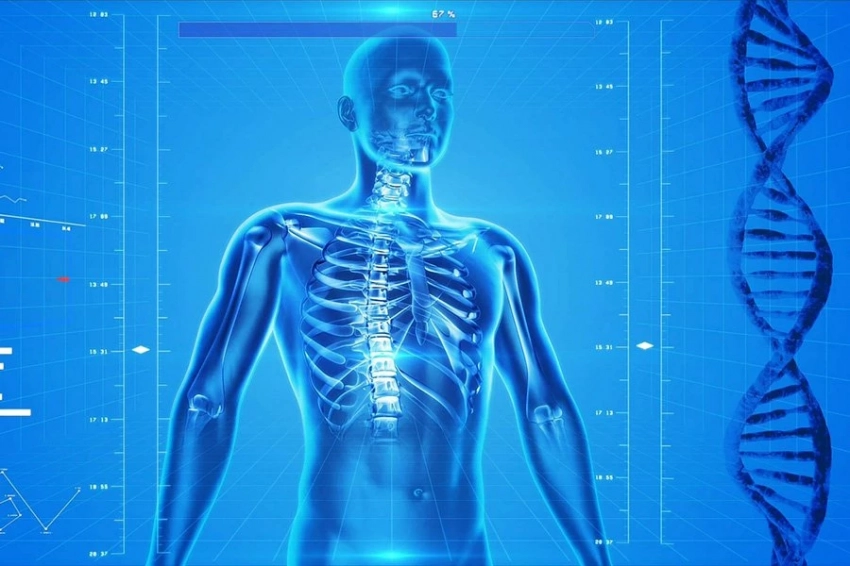 Лекарства будущего могут принять форму крошечных искусственных форм жизни