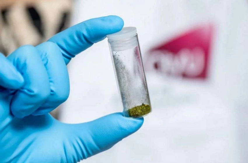 Фокусированный ультразвук превращает химиотерапию из «дробовика» в «снайперскую винтовку»