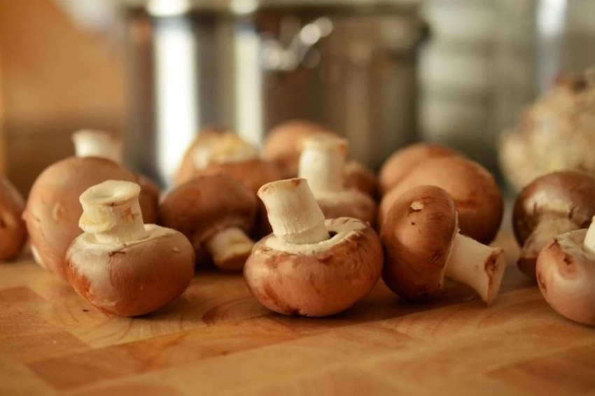 Специалисты объяснили, почему грибы могут быть очень опасны