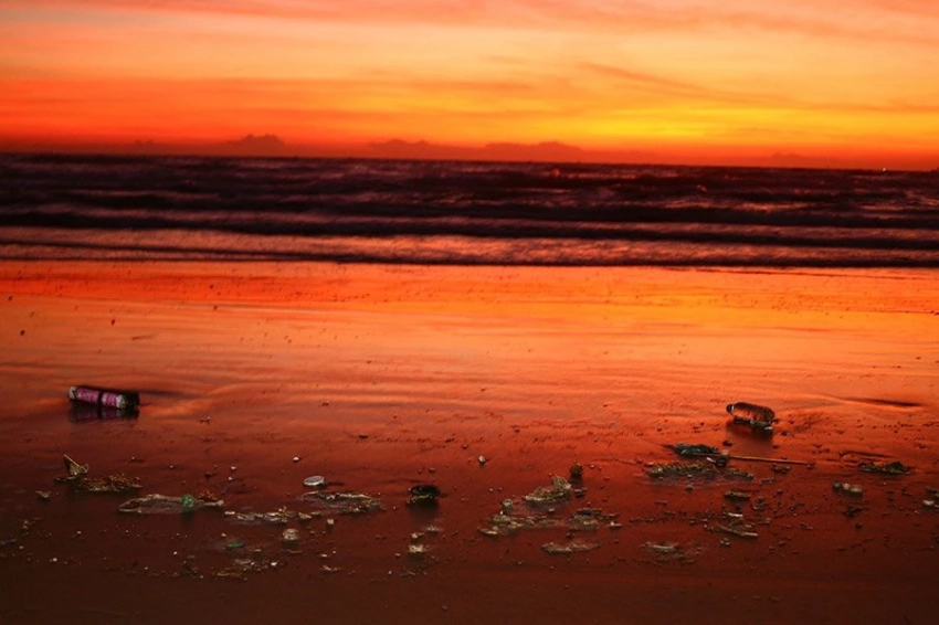 Ученые создали синтетические губки, впитывающие микропластик