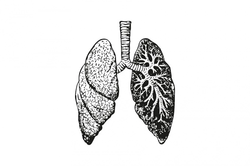HealthNews: нейросеть может предсказывать рак легких у курильщиков