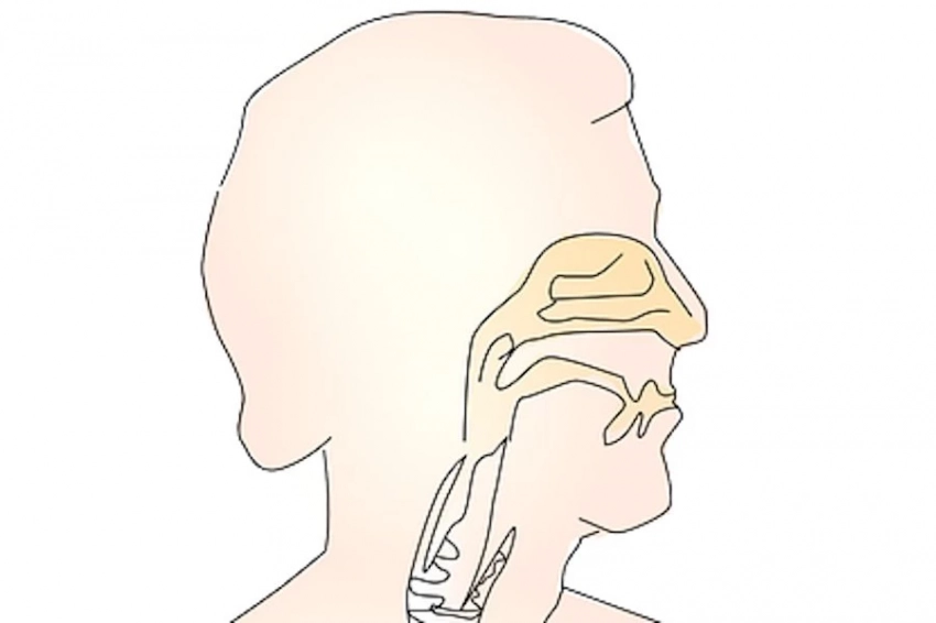 Септопластика эффективнее спреев лечит симптомы искривленной перегородки носа