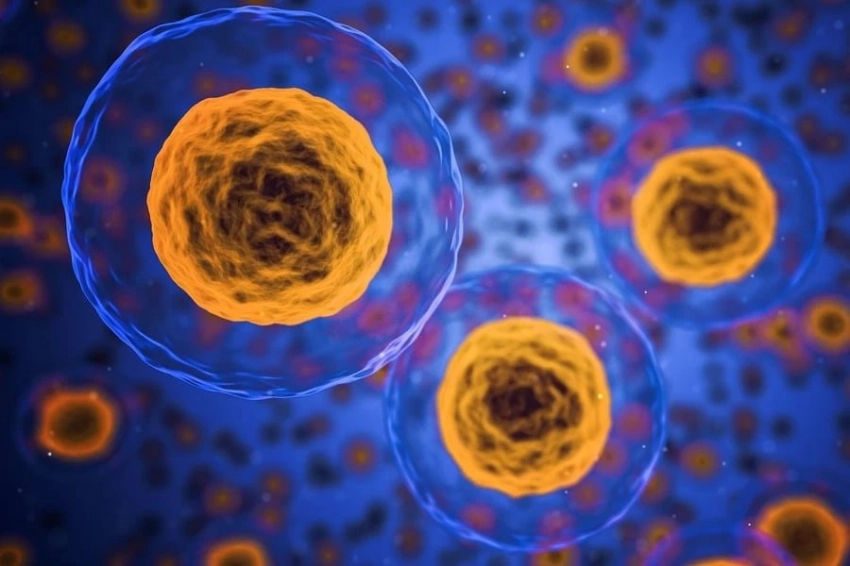 Американские биологи обнаружили новый биомаркер старения