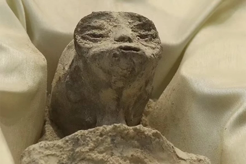 Названы пять известных случаев, когда на Земле были найдены «останки инопланетян»