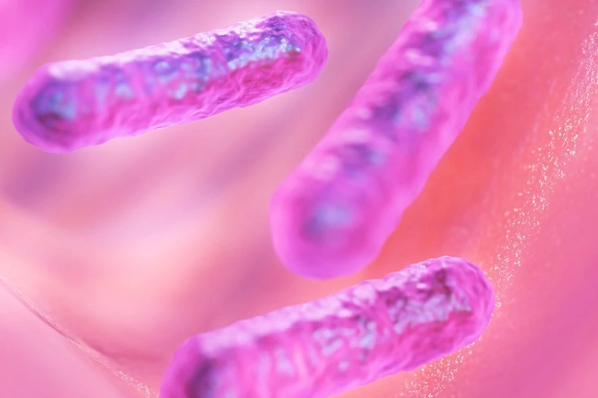 Неожиданная «рыбья» клетка, обнаруженная в легких человека, может быть ключом к муковисцидозу