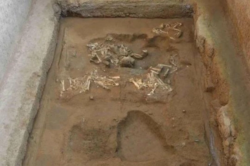 Редкая повозка для овец и древние колесницы найдены возле мавзолея первого императора Китая