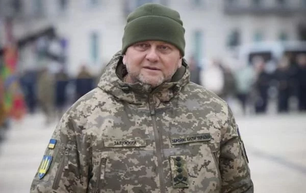 В партии «Слуга народа» потребовали от главкома ВСУ Залужного уйти в отставку 