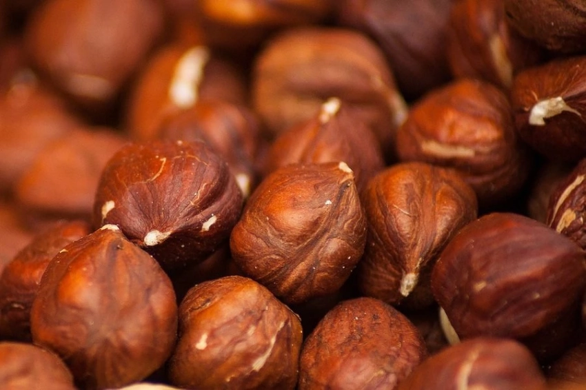 Употребление орехов уменьшает риск смерти при диабете 2