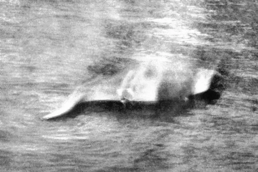 90 лет назад была сделана первая фотография Лох-Несского чудовища