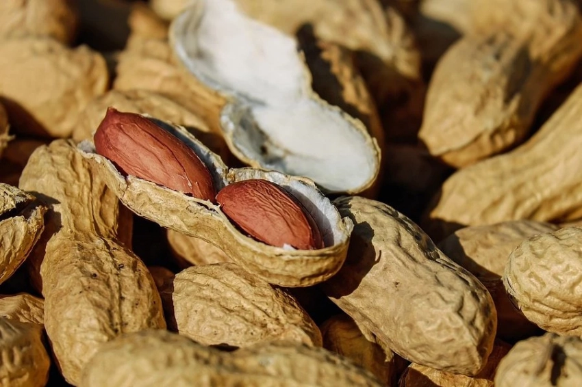 ACAAI: аллергия на арахис лечится с помощью зубной пасты