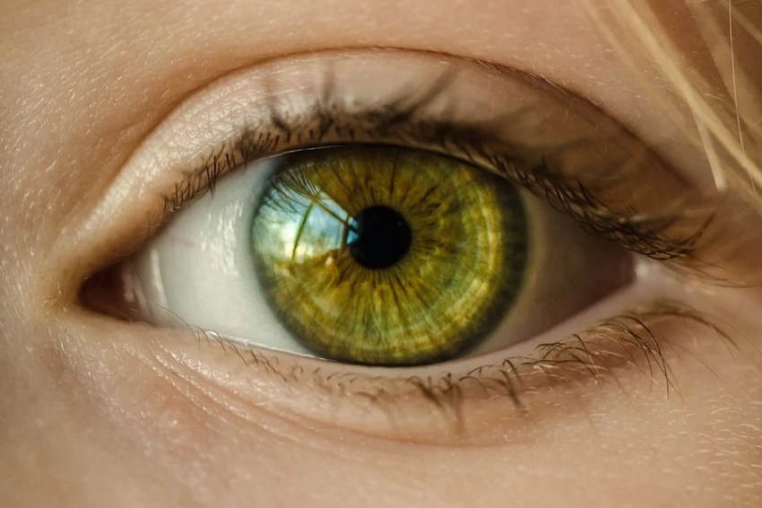 RB: железо служит причиной потери зрения при токсоплазмозе