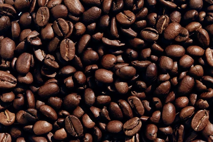 Кофейная гуща может стать ключом к предотвращению нейродегенеративных заболеваний