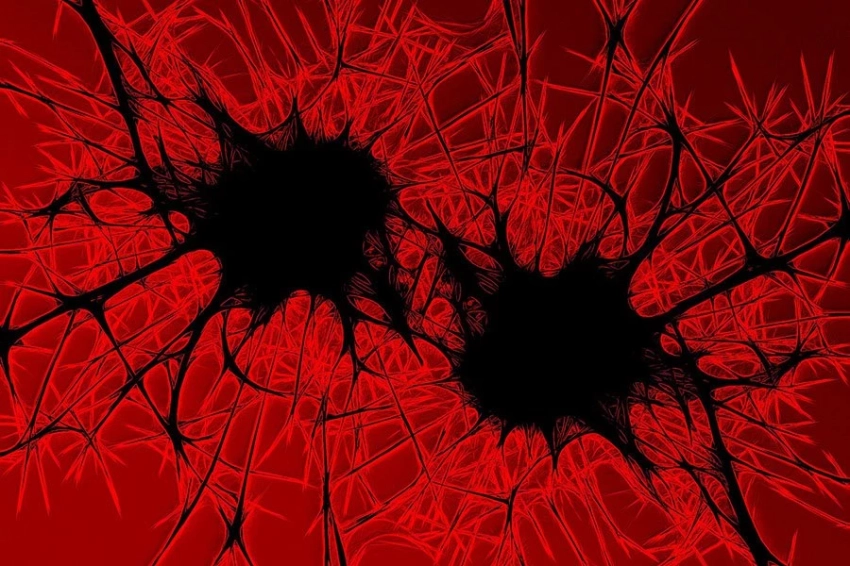 Ученые нашли в лаборатории «выключатель», который активирует смерть раковых клеток