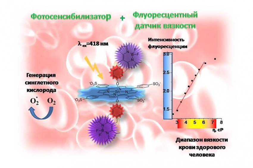 В 2 раза ярче: вращающаяся молекула гибридного красителя упростит диагностику заболеваний крови 